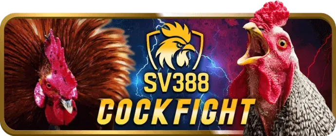 Hệ thống bảo mật của betvisa88 win